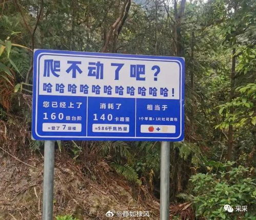你的城市地標(biāo)路牌有多整活？搞笑路牌合集盤(pán)點(diǎn)