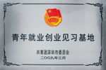 石家莊商務(wù)快車 全球產(chǎn)品廣告發(fā)布的專業(yè)代理服務(wù)