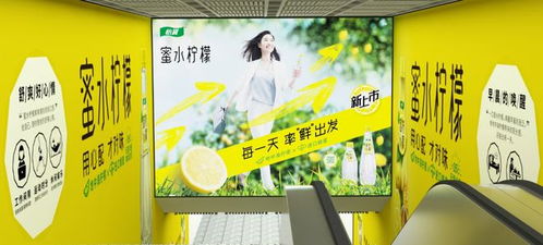 零點(diǎn)廣告 武漢地鐵品牌代理與景觀設(shè)計的融合，共筑城市流動風(fēng)景線